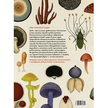 Энциклопедия про грибы. Грибариум