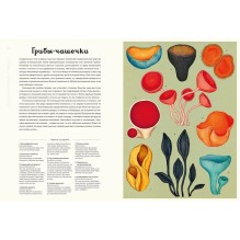 Энциклопедия про грибы. Грибариум