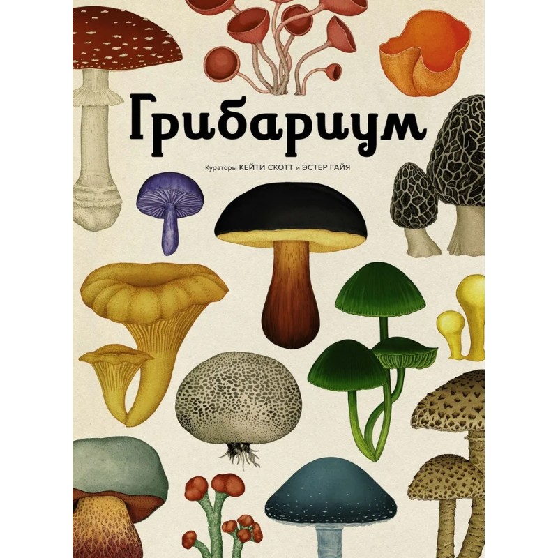 Энциклопедия про грибы. Грибариум