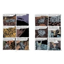 Кот раввина