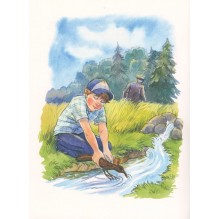 Волшебные туфли