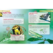 Насекомые. Детская энциклопедия