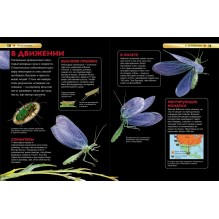 Насекомые. Детская энциклопедия