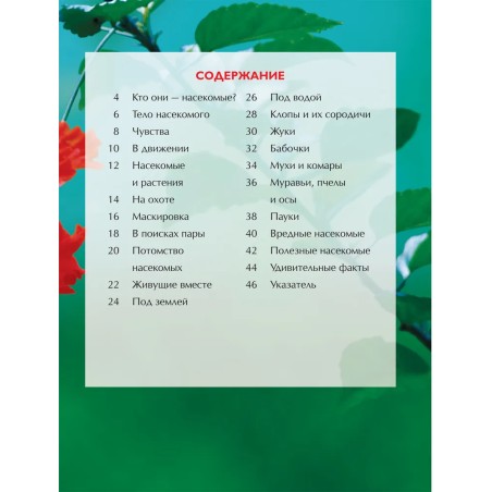 Насекомые. Детская энциклопедия