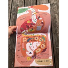 Тайная жизнь пуков и отрыжки