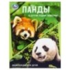 Панды и другие редкие животные. Энциклопедия с заданиями.