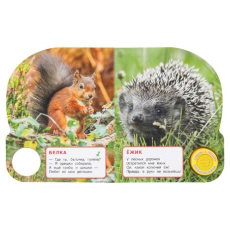 Лесные животные. Дружинина (1 кн. 3 пес.)