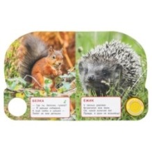 Лесные животные. Дружинина (1 кн. 3 пес.)