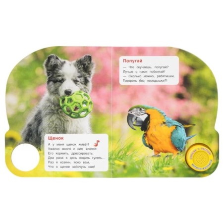 Домашние питомцы. Дружинина (1 кн. 3 пес.)