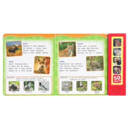 Лесные животные Степанов В.А. (5 кн. 50 звуков)