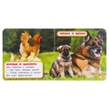 Мамы и малыши. Дружинина (карт. книга 3 разв.+4 тактил. эл-та)