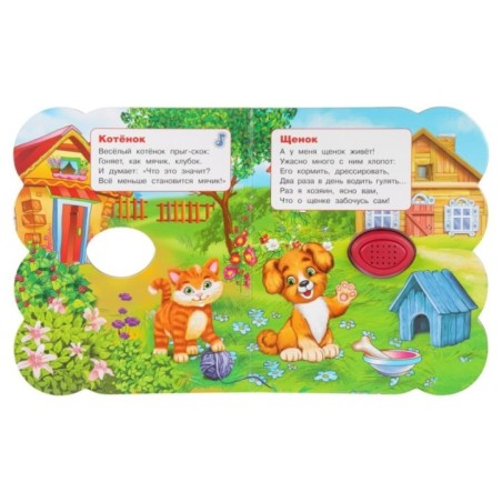 Питомцы Дружинина (книга EVA 1 кн.-нос 3 пес.)