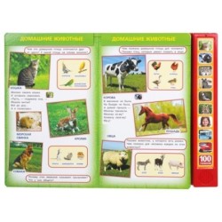 100 голосов окруж. мира (10 зв.кнопок, 100 звуков)