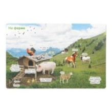 Животные. 50 окошек для малышей.