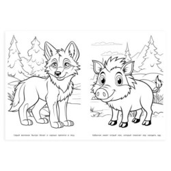 Лесные друзья. Раскраска.