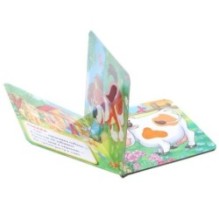 Домашние животные Дружинина (карт. книга 3 разв. с 4 тактил. эл-тами)