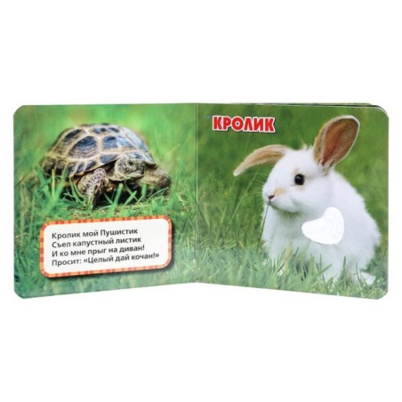 Домашние питомцы Дружинина (карт. книга 3 разв. с 4 тактил. эл-тами)