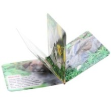 Пушистые малыши Степанов В.А. (карт. книга 3 разв. с 4 тактил. эл-тами)