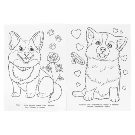 Корги и друзья. Раскраска.