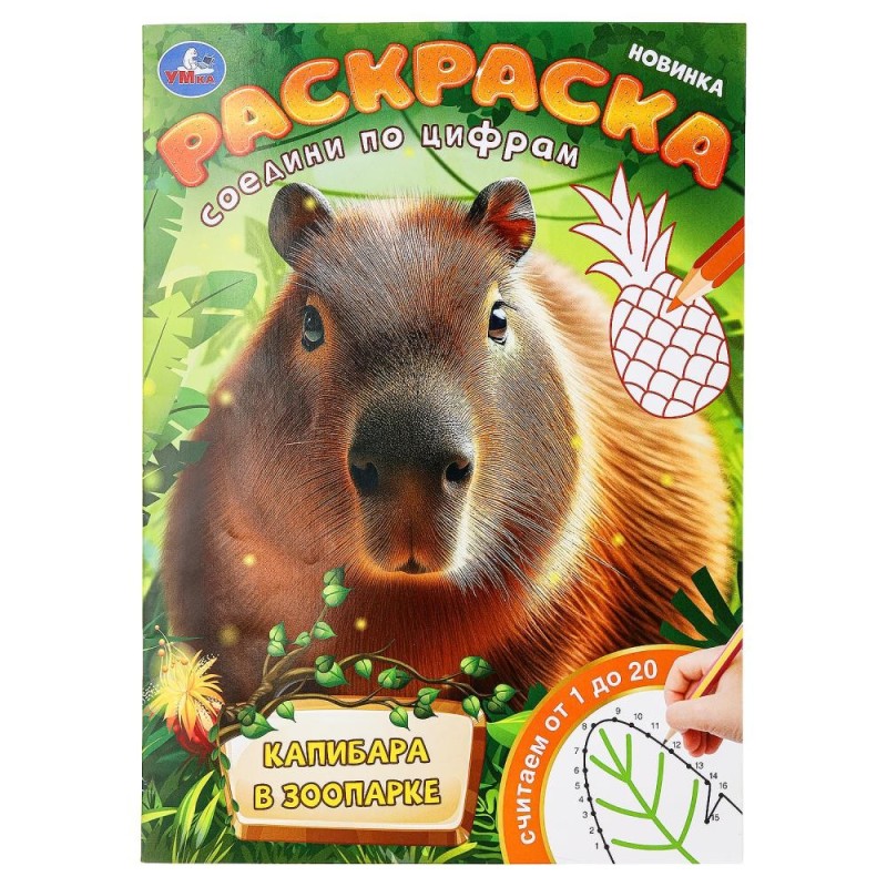 Капибара в зоопарке. Раскраска. Соедини по цифрам.