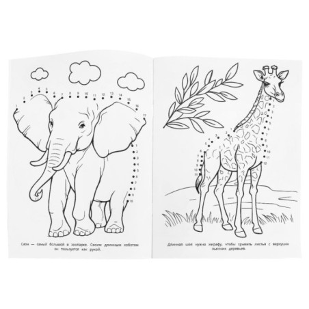 Капибара в зоопарке. Раскраска. Соедини по цифрам.