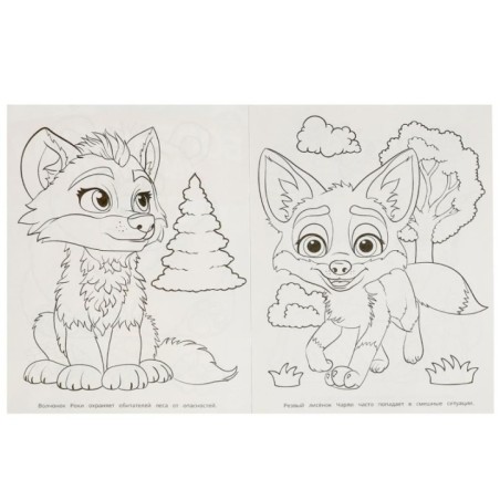 Кто живёт в лесу? Бомбическая раскраска.