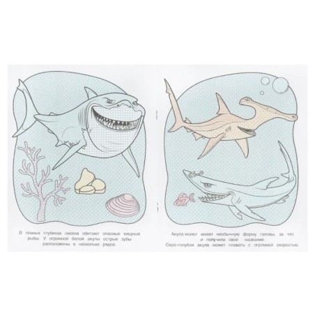 Чудо-рыбки. Водная раскраска. Раскрась водой.