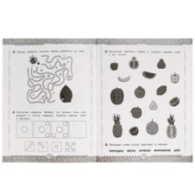 Развиваем мышление. Тренажёр - рабочая тетрадь. Подготовка к школе.