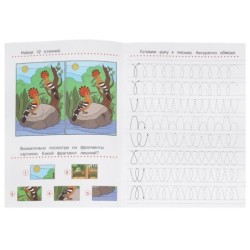 Готовим руку к письму. Прописи с заданиями.