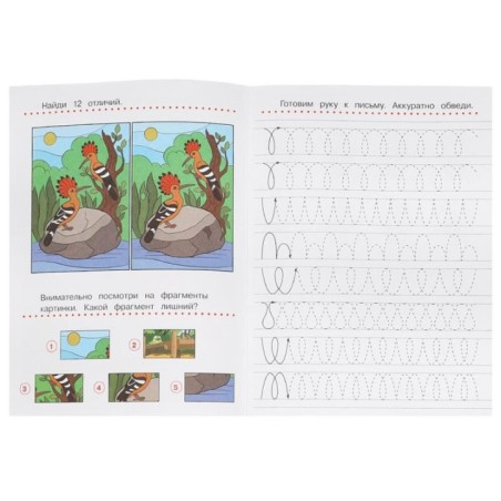 Готовим руку к письму. Прописи с заданиями.