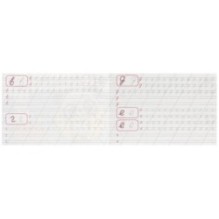 Пишем строчные буквы. Каллиграфическая пропись.