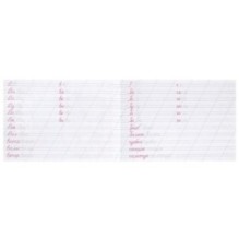 Пишем слоги и слова. Каллиграфическая пропись.