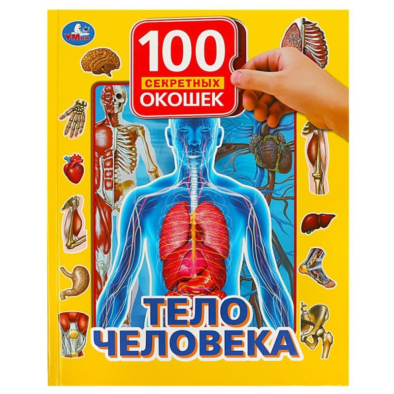 Тело человека. 100 секретных окошек.