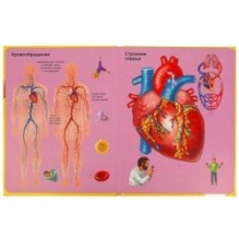 Тело человека. 100 секретных окошек.