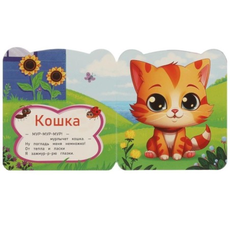 Мур-мур!. Дружинина М.В. Книжка с цветными глазками.
