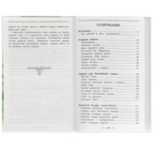 Жёлтый туман. Волков А. М. Внеклассное чтение.