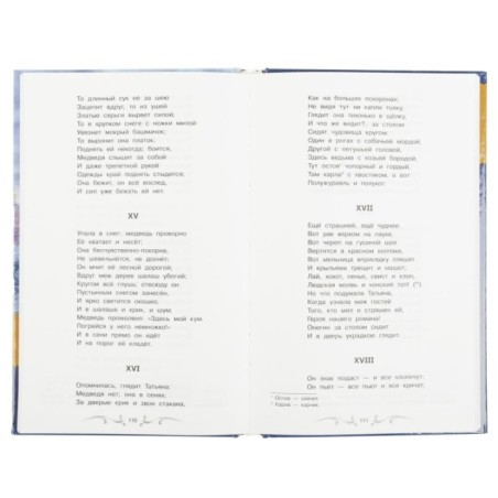 Евгений Онегин. Пушкин А.С. Библиотека классики.