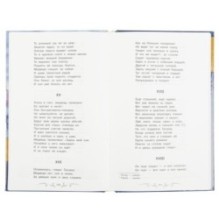 Евгений Онегин. Пушкин А.С. Библиотека классики.