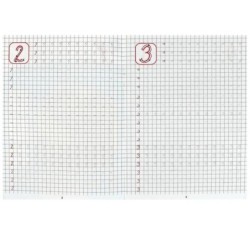 Пишем цифры. Каллиграфическая пропись.