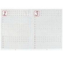 Пишем цифры. Каллиграфическая пропись.