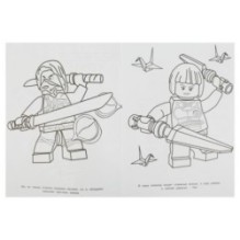 Бесстрашные ниндзя. Чудо раскраска.