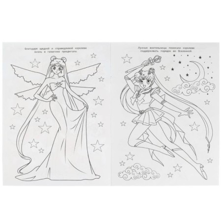 Королевство Луны. Чудо- раскраска.
