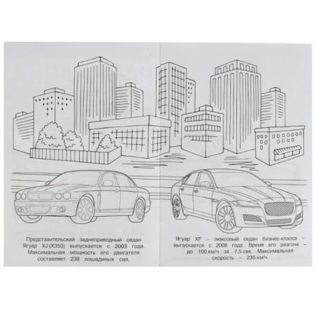 Ягуар. Раскраска Малышка 16 заданий.