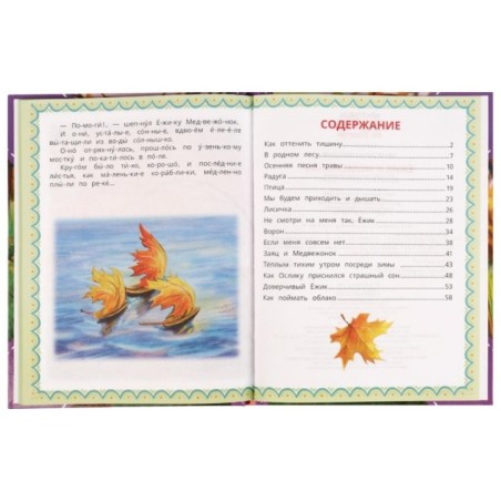 Ёжик и Медвежонок. С. Г. Козлов. Читаем сами  по слогам.