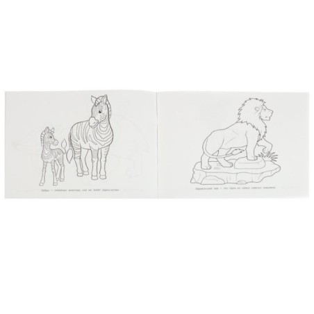 Животные Африки. Альбом раскрасок. 64 картинки.