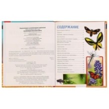 Насекомые Красной книги. В. Н. Алексеев. Энциклопедия с заданиями.
