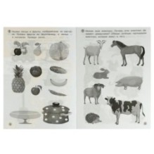 Мир вокруг. Рабочая тетрадь. Развиваем мышление и речь. 3–4 года. О. Я. Бортникова.