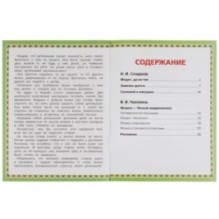 Рассказы о природе. Н. И. Сладков, В. В. Чаплина. 5 сказок.