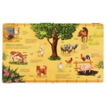 Животные. 100 секретных окошек.