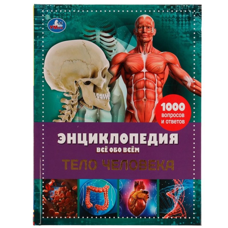 Тело человека. Энциклопедия А4. Все обо всем.